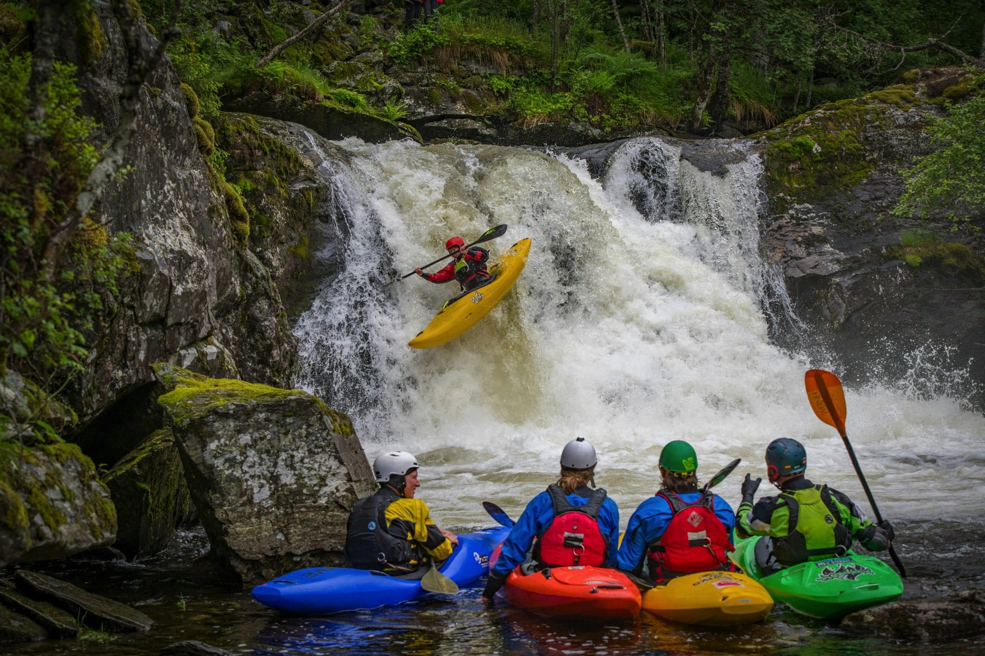 sitios web para ecoturismo