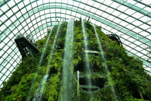 tecnologia verde en los negocios