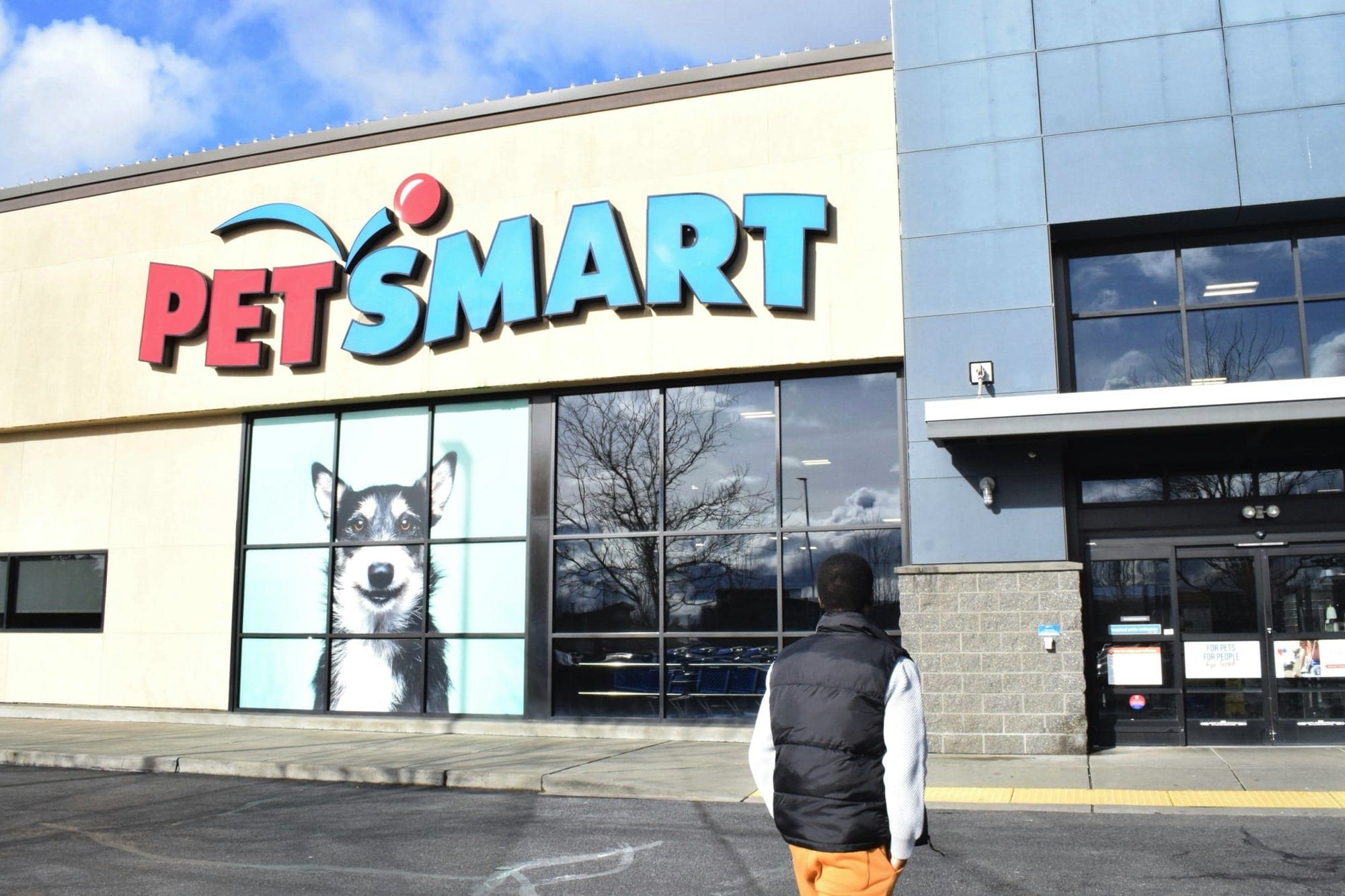 sitios web para mascotas