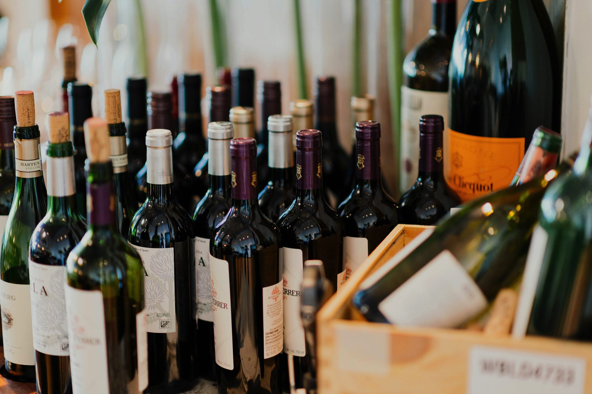 sitios web para vinos